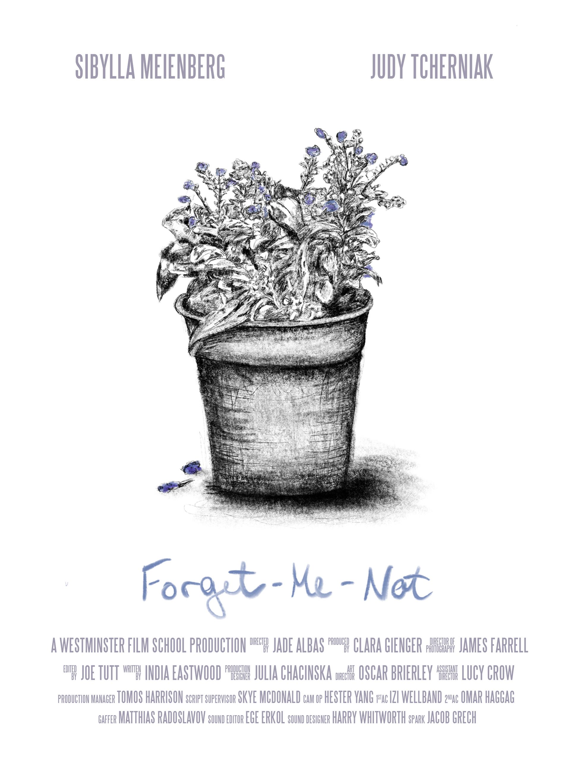 Forget Me Not – 2019.